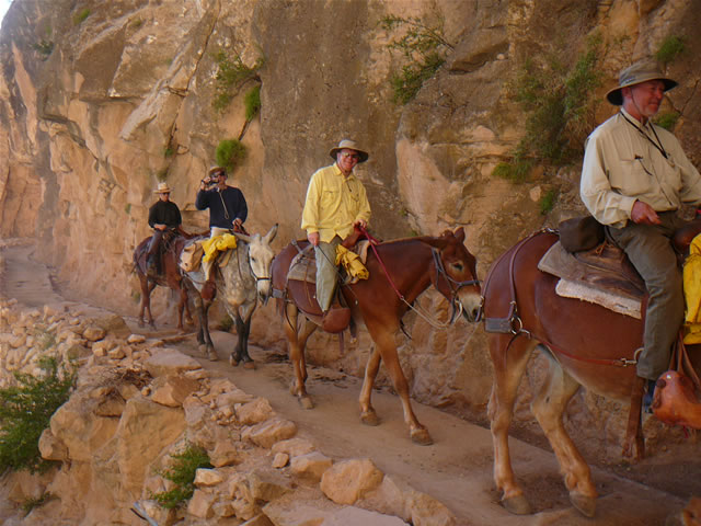 images/B- Mule Ride, riding down in to Grand Canyon (1).jpg